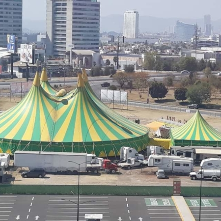 facebook_1551553099434 Pékin chinois Circus Circus et russe !!! M. Ricardo Aguilar société ☆☆☆ 8 semaines Puebla à Mexico