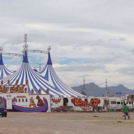 facebook_1554666642718 Barley circus